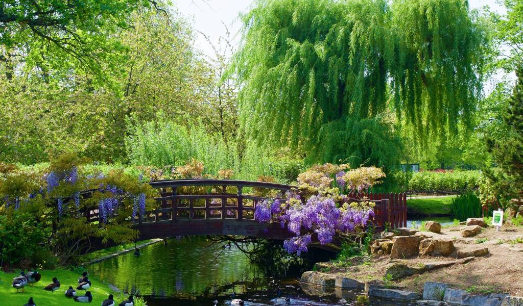 Regent's Park